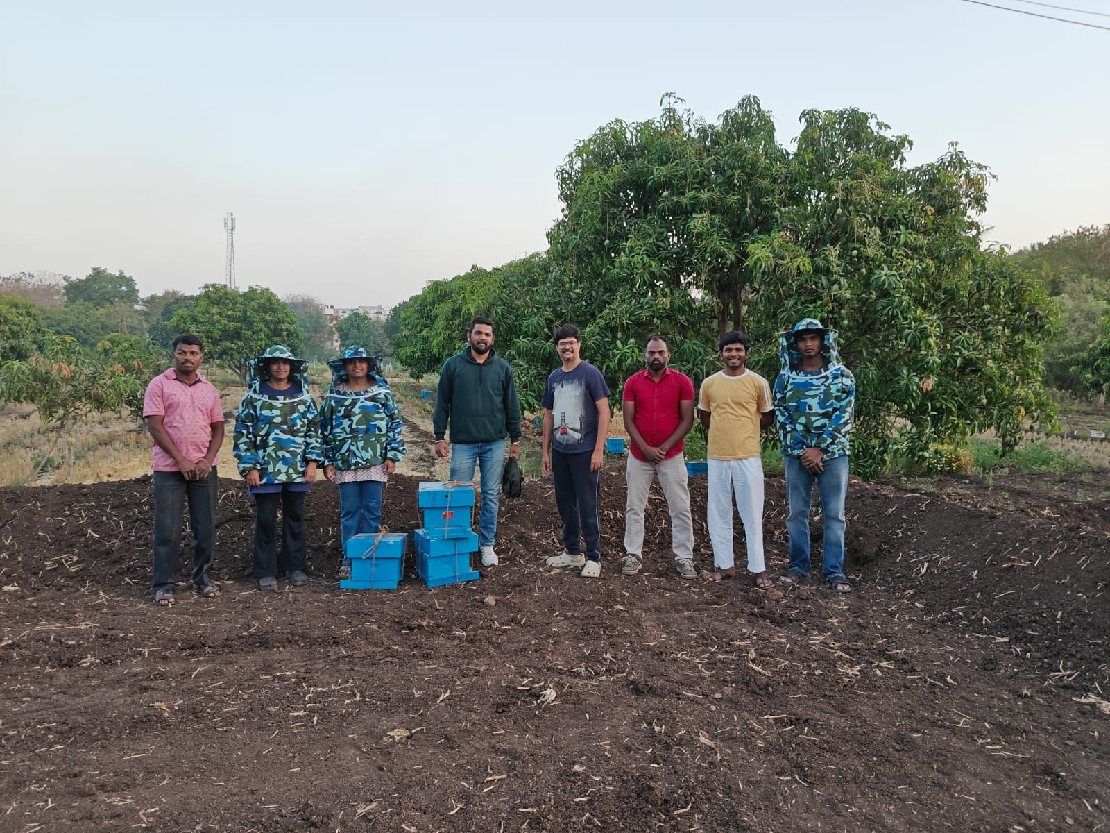 Bee Hives On Donje Farm